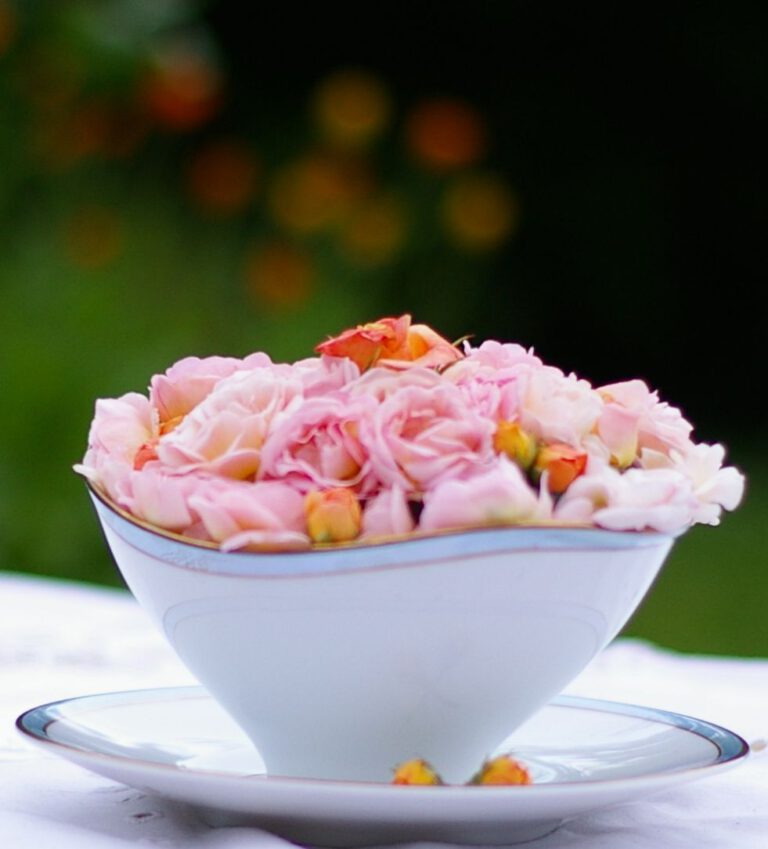 Read more about the article Rosenzeit – die Königinnen der Blumen duften so herrlich